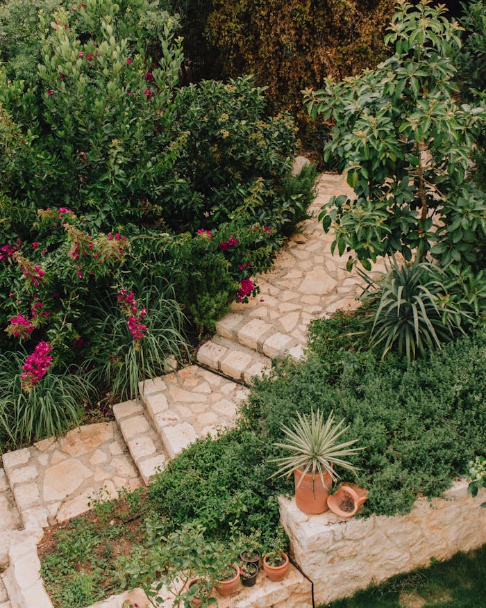 Stunning stone pathway meandering through lush garden with vibrant flora and greenery.
