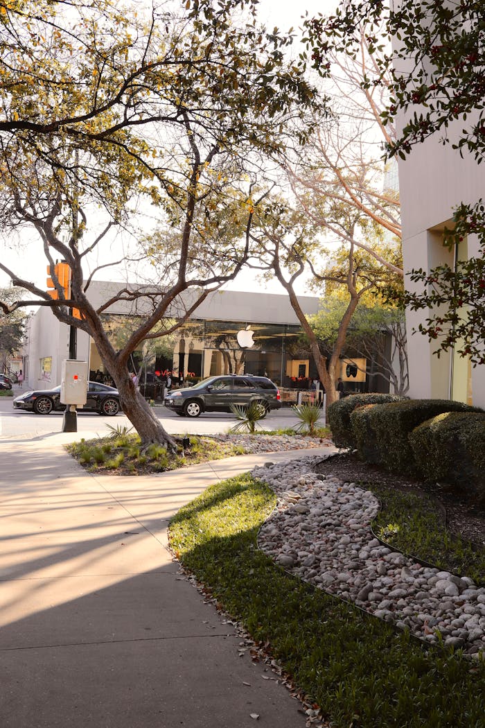 Urban street view featuring the Apple Store in Dallas, TX with trees and sidewalks.