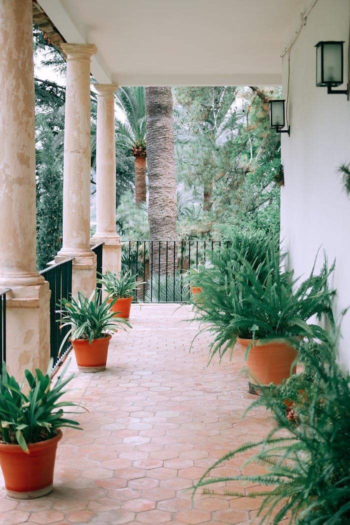 Inviting veranda with lush potted plants and classic columns, offering a serene outdoor escape.