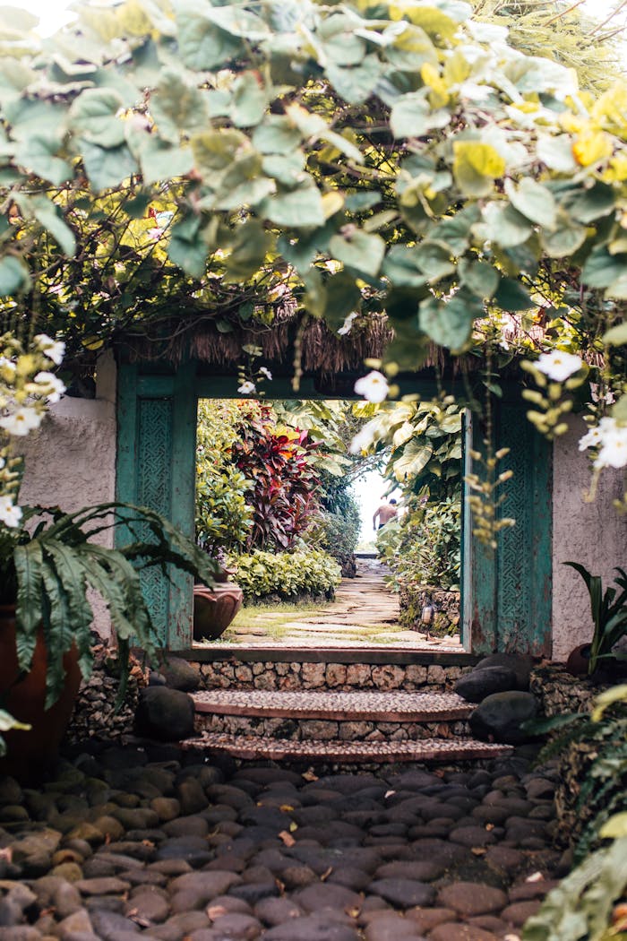 Peaceful garden entrance adorned with vibrant plants and stone steps.